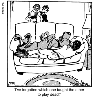 marmaduke